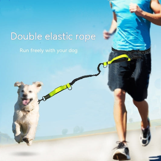 Hands-free dog leash